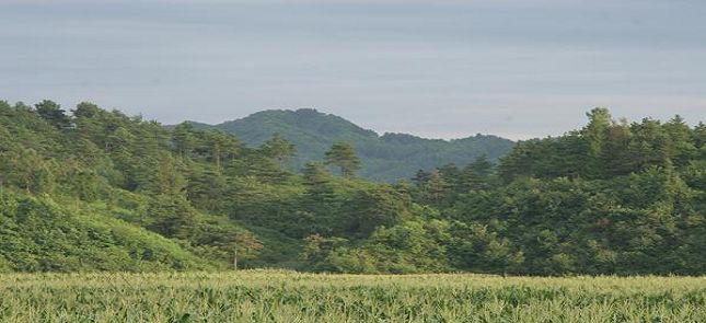 永陵夏园行宫与关帝庙 图1