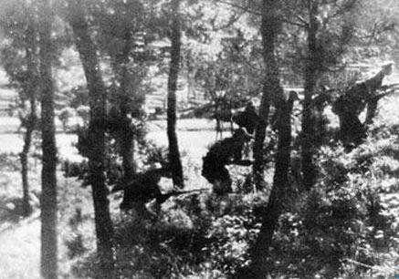 1946：新宾出犯蒋军被我击溃一营 图1