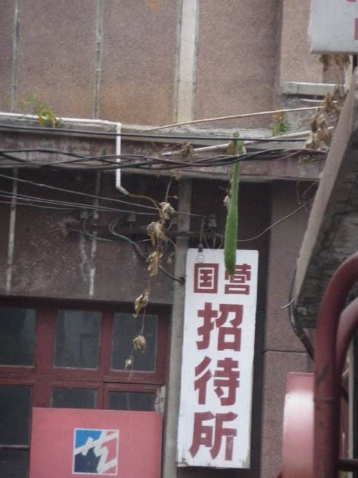 郭秀江：怀念那座招待所 图1